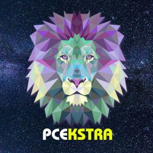 Sosyal Medya Yönetimi